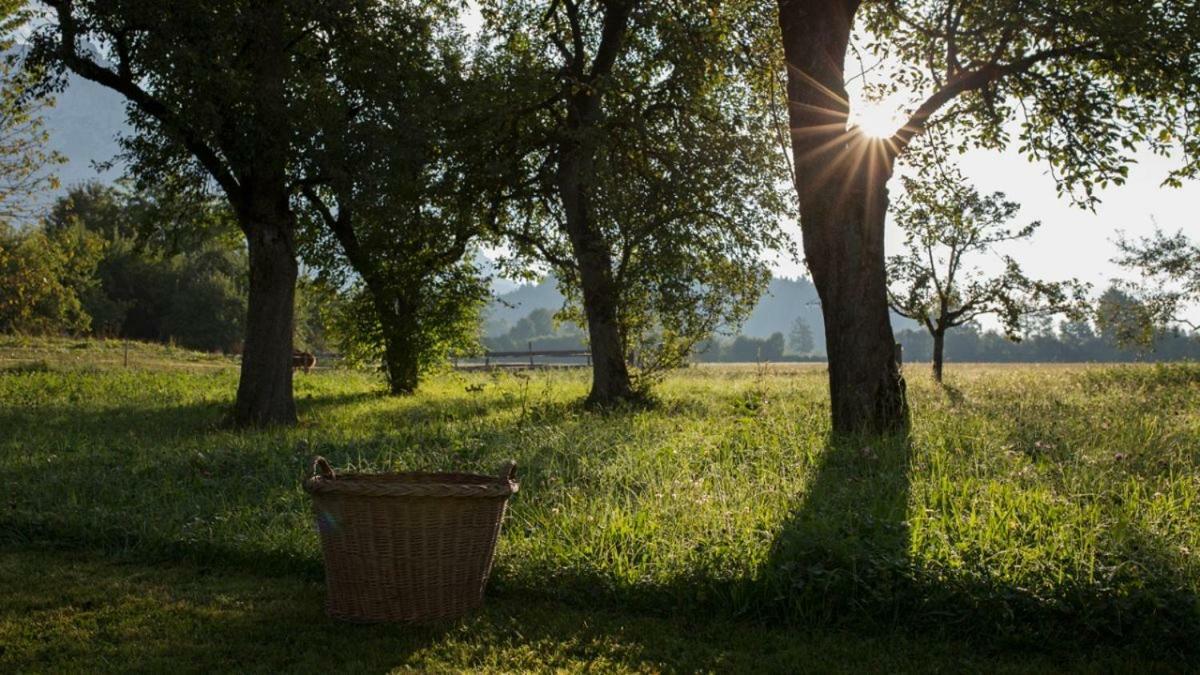 Bauernhof Lindenhof Bed & Breakfast Scheffau am Wilden Kaiser Ngoại thất bức ảnh
